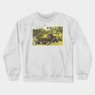 Giant Galapagos tortoises, North Miami Zoo postcard Crewneck Sweatshirt